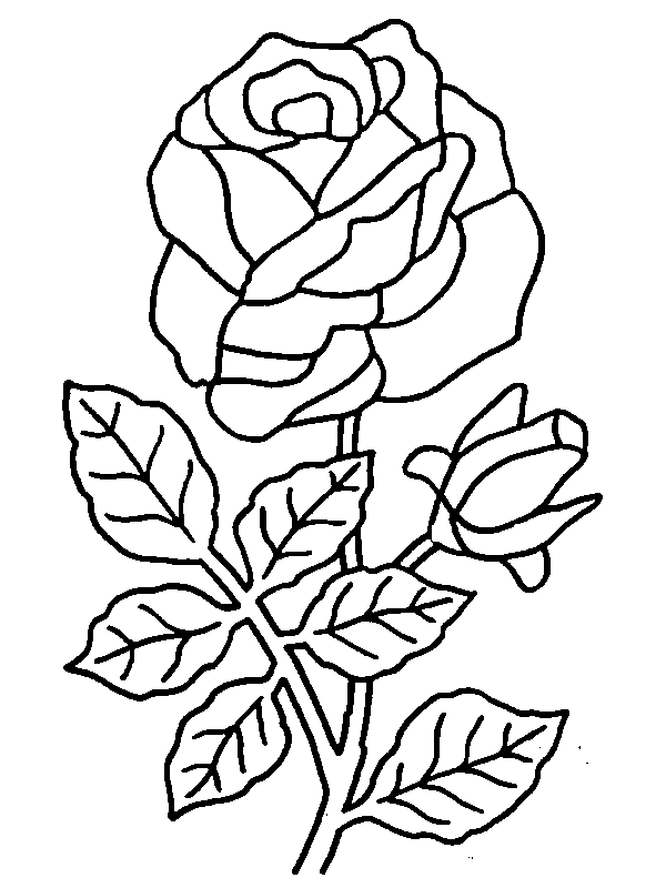 una classe coloring pages of a rose - photo #2
