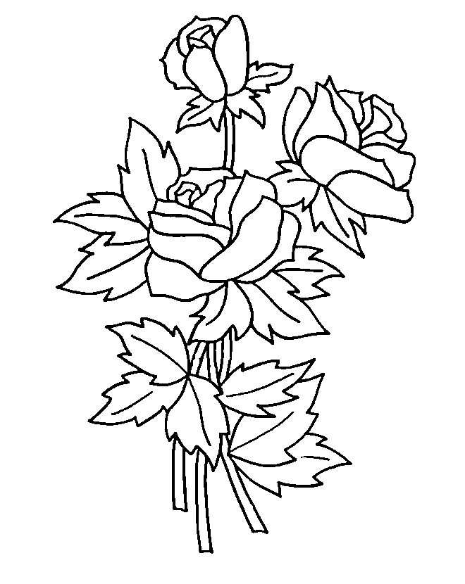 una classe coloring pages of a rose - photo #7