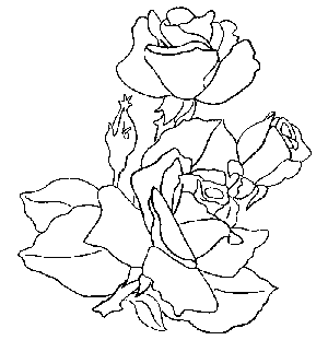 Dibujos para pintar de rosas