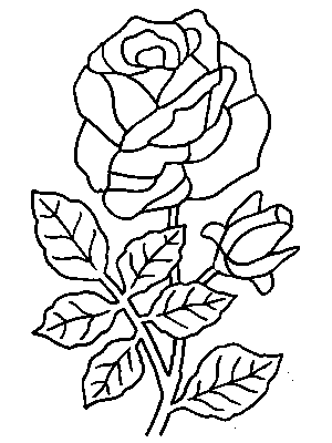 Dibujos de rosas