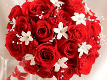 Ramos de rosas (11)