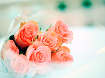 Ramos de rosas (2)