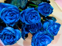 Rosas azules (12)