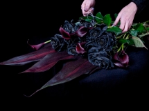Rosas negras (3)